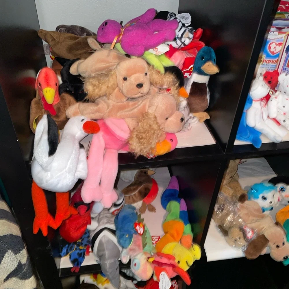 Ty Plush Toy Collection - YOU PICK!